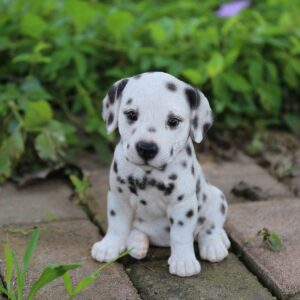 Dalmatian